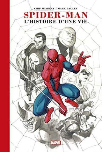 Couverture de l'album Spider-Man : L'histoire d'une vie (One-shot)