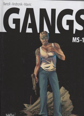 Couverture de l'album Gangs - 2. ms13